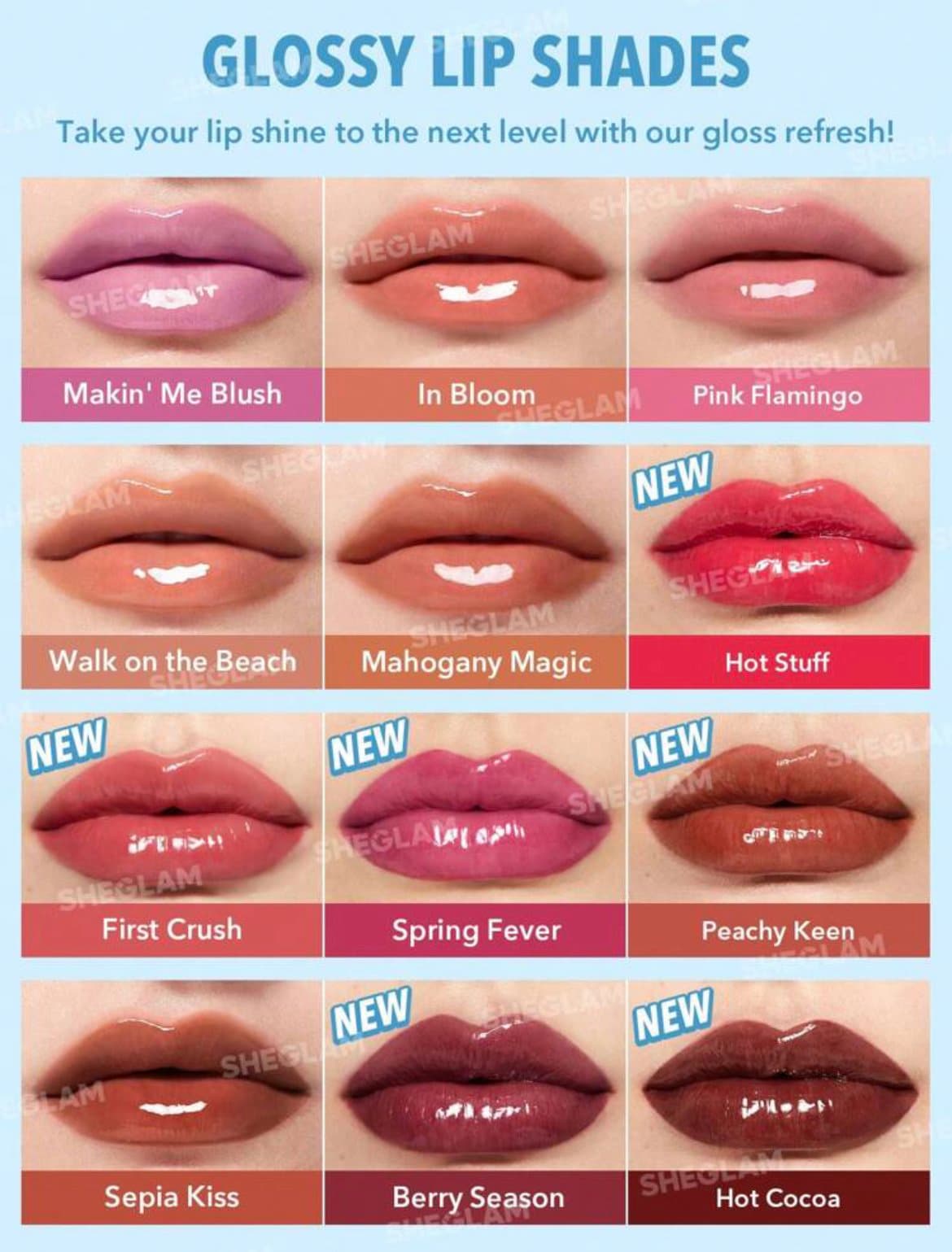 SHEGLAM Pout-Perfect Shine Lip Plumper |   ملمع و مكبر شفاه من شيكلام
