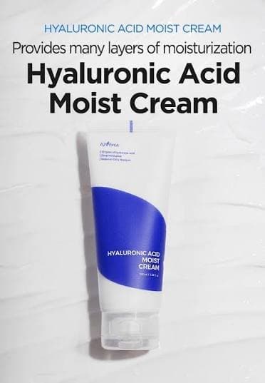 Isntree Hyaluronic Acid Aqua Gel Cream | كريم جل بالهالورنك اسد من ازنتري